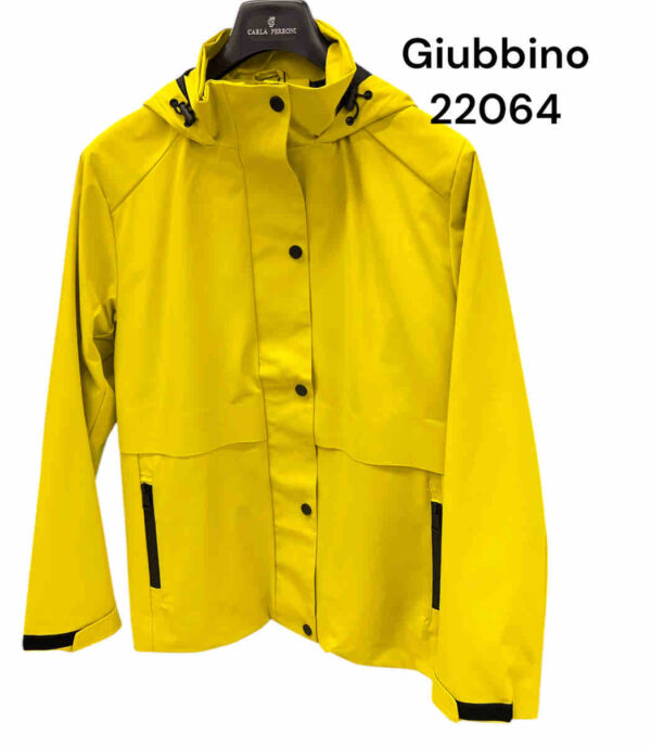 GIUBBINO D. 22064.56 100%PL